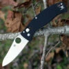 Spyderco Knives Spyderco C82GP3 D’Allara 3, 3.30 in CPM S30V plain Blade, G-10 Handle