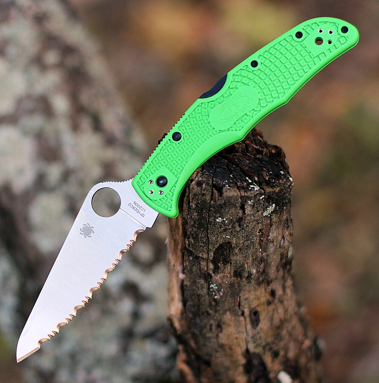 Spyderco Knives Spyderco Pacific Salt 2 C91FSGR2, 3.78" LC200N Satin SpyderEdge Blade, Green FRN Handle 1 Spyderco Knives Spyderco Pacific Salt 2 C91FSGR2, 3.78" LC200N Satin SpyderEdge Blade, Green FRN Handle