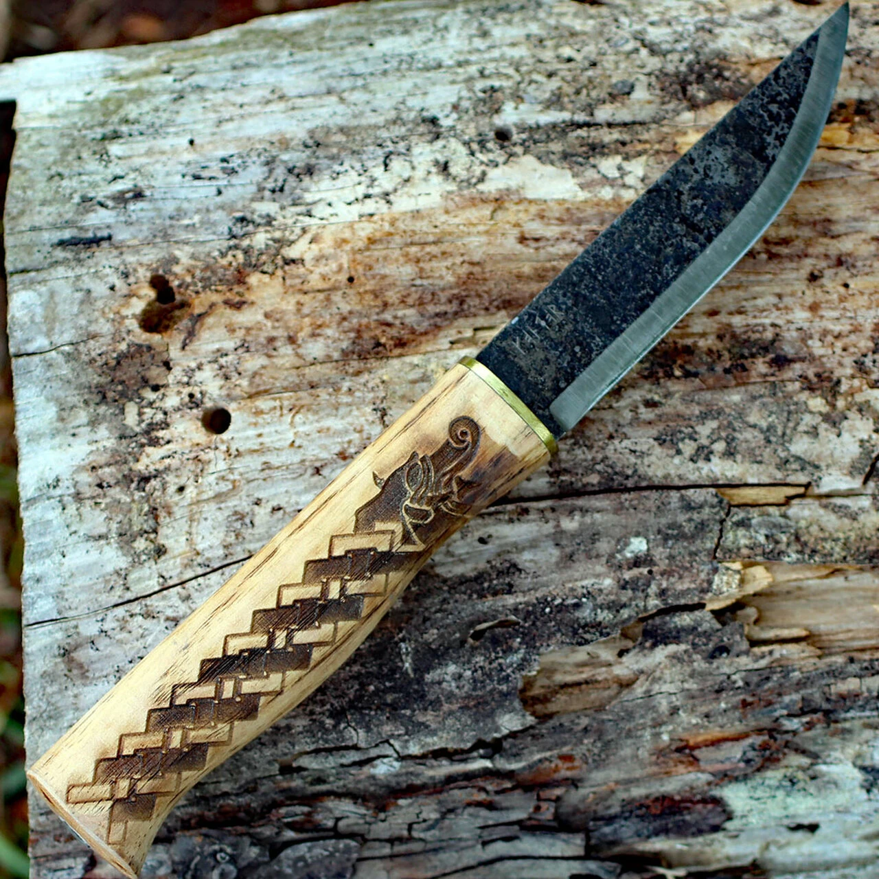 Condor Norse Dragon Knife 1021-3.8HC, 3.88 in. 1095 High Carbon Steel Blade, Wood Handle 2 Condor Norse Dragon Knife 1021-3.8HC, 3.88 in. 1095 High Carbon Steel Blade, Wood Handle - Image 2