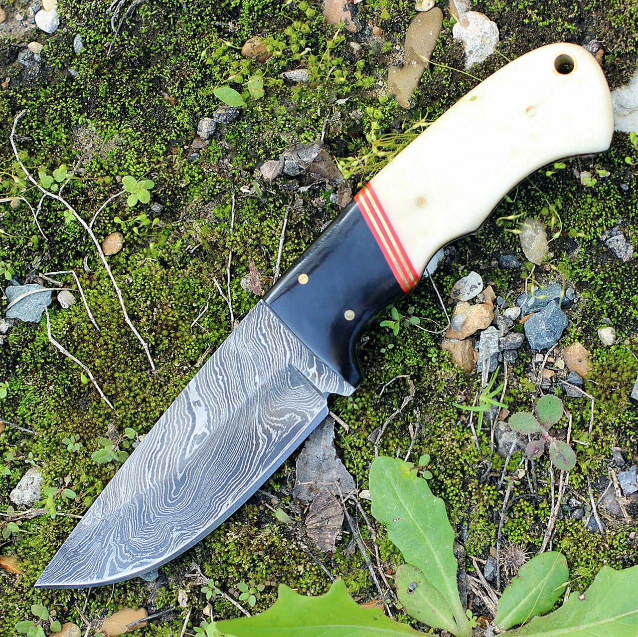 Damascus Blade Knife Damascus 1068 Skinner, 3.75" Damascus Plain Blade, Smooth White Bone Handle 1 Damascus Blade Knife Damascus 1068 Skinner, 3.75" Damascus Plain Blade, Smooth White Bone Handle