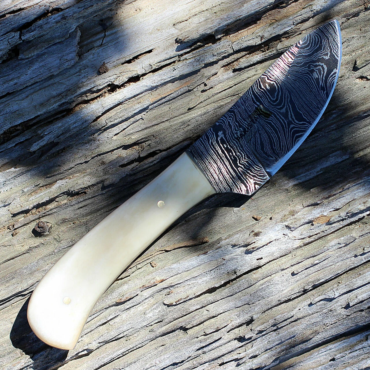 Damascus Blade Knife Damascus 1080BO Skinner, 3" Damascus Plain Blade, White Smooth Bone Handle 2 Damascus Blade Knife Damascus 1080BO Skinner, 3" Damascus Plain Blade, White Smooth Bone Handle - Image 2