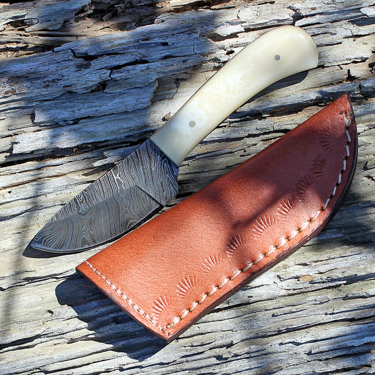 Damascus Blade Knife Damascus 1080BO Skinner, 3" Damascus Plain Blade, White Smooth Bone Handle 3 Damascus Blade Knife Damascus 1080BO Skinner, 3" Damascus Plain Blade, White Smooth Bone Handle - Image 3