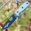 ESEE Knives ESEE-4P-SKULL (4.5" Black w/Skull) Coyote Brown