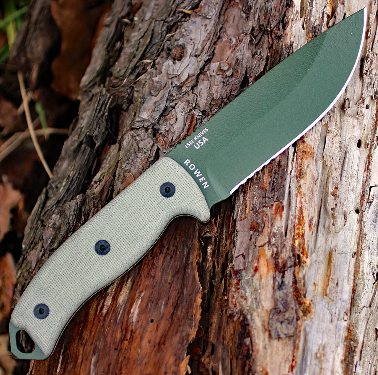 ESEE Knives ESEE Cutlery Model 5, Green Canvas Micarta, OD Blade, Kydex Sheath, Combo Edge 2 ESEE Knives ESEE Cutlery Model 5, Green Canvas Micarta, OD Blade, Kydex Sheath, Combo Edge - Image 2