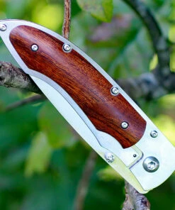 Fallkniven P Framelock Folding knife, 3" 3G Satin Blade, Desert Wood Ironwood Handle, Nylon Sheath -Knifeworks Sales Store fnp3gic.3 47233.1627330653