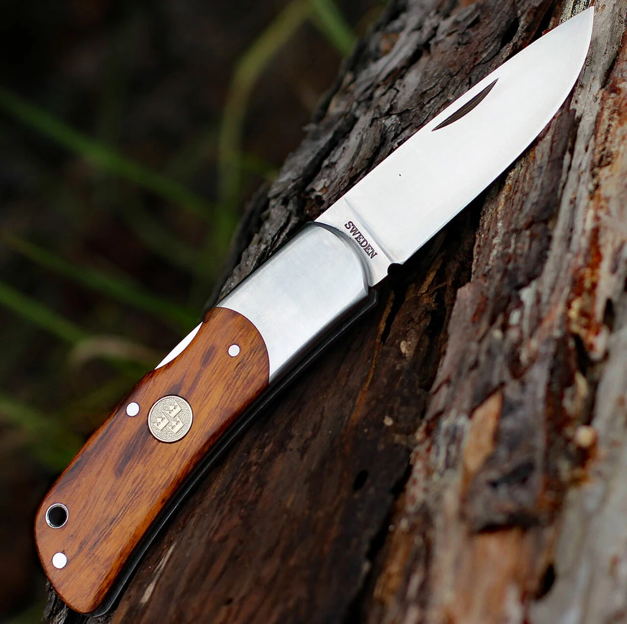 Fallkniven TK3ic Tre Kronor, 2.75" 3G Steel Plain Blade, Desert Ironwood Handle 2 Fallkniven TK3ic Tre Kronor, 2.75" 3G Steel Plain Blade, Desert Ironwood Handle - Image 2