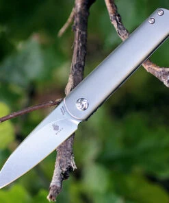 Kizer Cutlery Kizer Feist Titanium KI3499, 2.83" S35VN Plain Blade