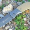 Browning Knives Browning Black Label Folder, 8Cr13mov, Tan G-10 Scales