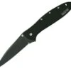 Kershaw Knives Kershaw 1660CKT Leek, 3" Sandvik 14C28N Plain Blade, 410 Stainless Handle