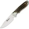 Boker Pine Creek, T6MoV Steel, Genuine Stag Handles