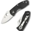 Spyderco Knives Spyderco Ambitious G-10 C148GP, 2.25" 8Cr13MoV Plain Blade, G-10 Handle