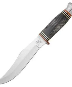 Case 17910 Hunter, Buffalo Horn Handle (BH81-6 SS)