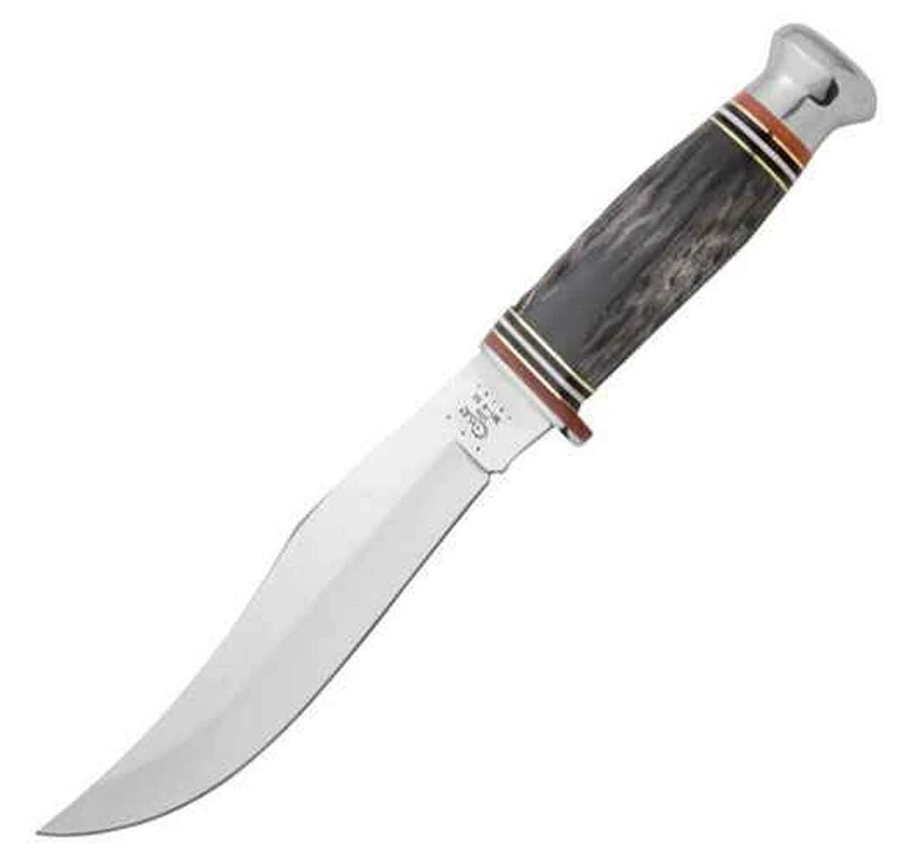 Case 17910 Hunter, Buffalo Horn Handle (BH81-6 SS) 1 Case 17910 Hunter, Buffalo Horn Handle (BH81-6 SS)