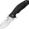 Dendra Knives Dendra Typhoon, D2 Tool Steel Satin Finish Blade