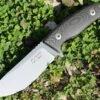 Dendra Knives Dendra Russian Bear Fixed Blade, Stonewashed Niolox Steel, Black Micarta Handle