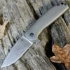 Kizer Cutlery Laconico Ki3471 Gemini Frame Lock Flipper