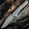 Kizer Cutlery, Flashbang Skully Flipper, 454A2, 3.5 in. S35VN Clip Point Stonewashed Blade, Framelock