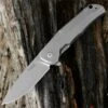 LionSteel Lion Steel T.R.E. Three Rapid Exchange Folder, 2.91 in. M390 Blade, Matte Titanium Handles, Gray Accents