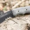 TOPS Knives Mini Eagle Fixed, 1095 High carbon Steel, Black Linen Micarta