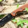 TOPS Mini Scandi Knife 2.5, 1095 High Carbon Steel, Tan Canvas