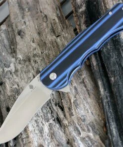 Kizer Cutlery Kizer V4455A2 Dorado Vanguard Series 3.5 in. VG-10 Black/Blue G-10 Flipper