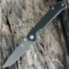 Kizer Cutlery Kizer V4458A1 Begleiter Vanguard Series 3.5 in. VG-10 Black G-10 Folder
