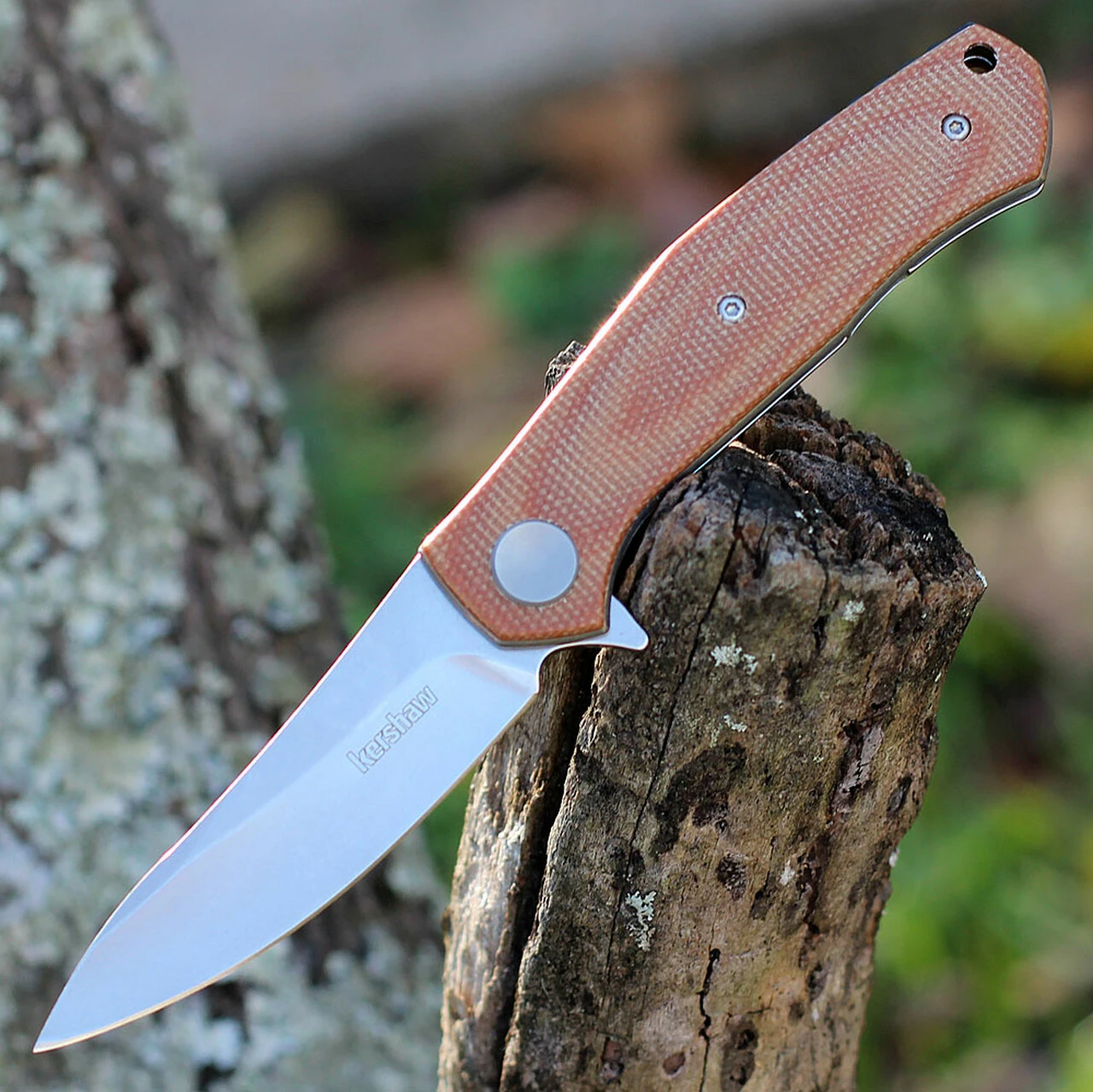 Kershaw Knives Kershaw Concierge - Brown Canvas Micarta (3.2"D2 Satin) 4020MIB 1 Kershaw Knives Kershaw Concierge - Brown Canvas Micarta (3.2"D2 Satin) 4020MIB