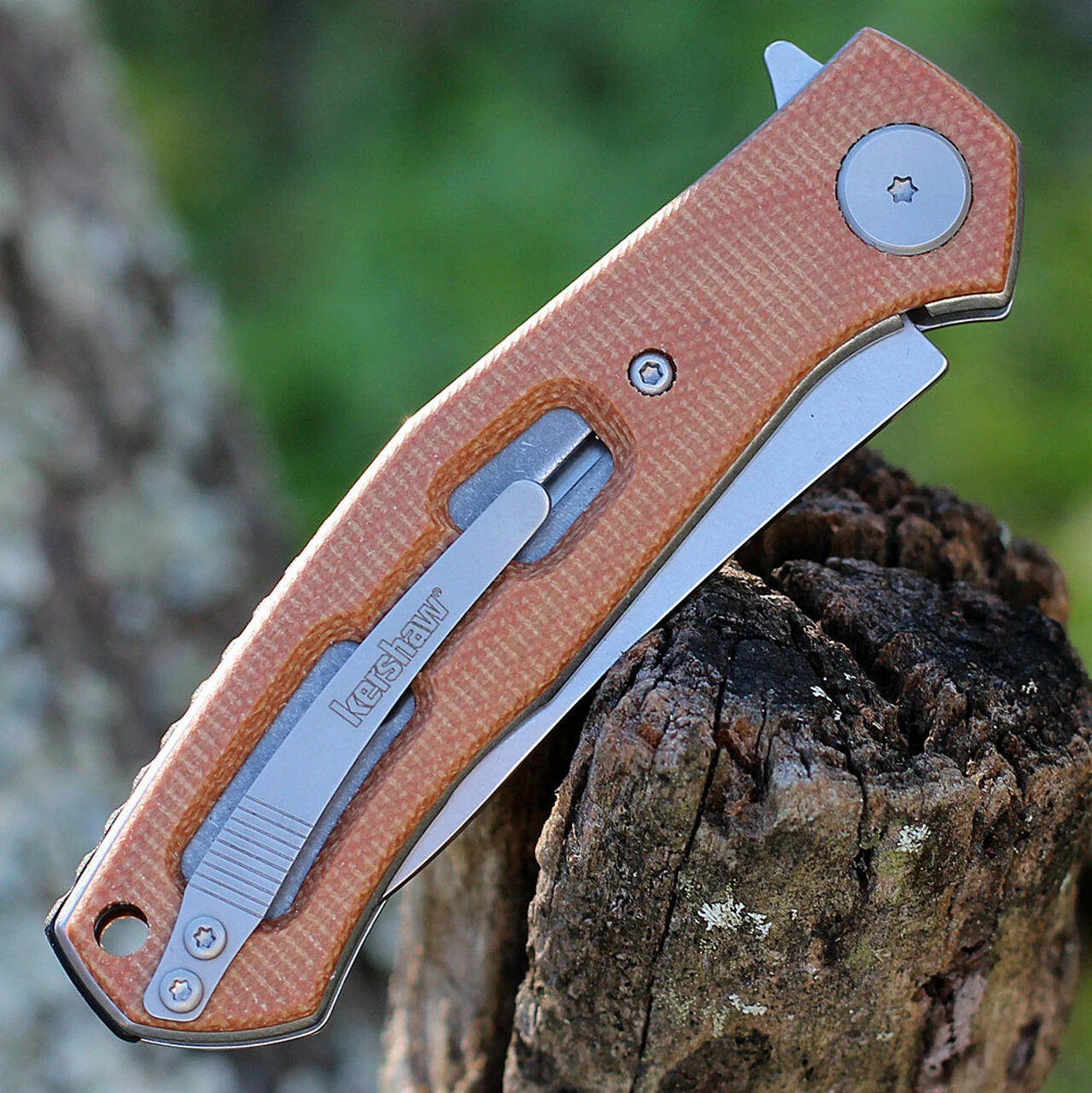 Kershaw Knives Kershaw Concierge - Brown Canvas Micarta (3.2"D2 Satin) 4020MIB 4 Kershaw Knives Kershaw Concierge - Brown Canvas Micarta (3.2"D2 Satin) 4020MIB - Image 4