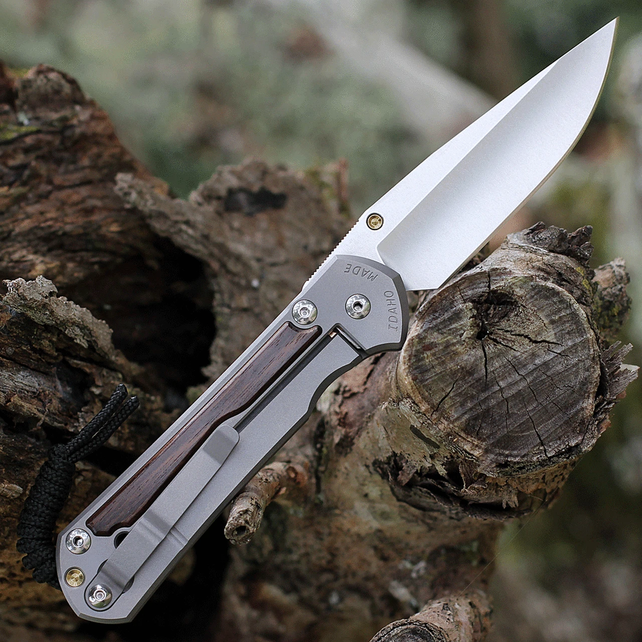 Chris Reeve Large Sebenza 31 Macassar Ebony Inlay, 3.61" CPM S45VN Stonewashed Drop Point Blade, Matt-Blasted Handle(L31-1116) 2 Chris Reeve Large Sebenza 31 Macassar Ebony Inlay, 3.61" CPM S45VN Stonewashed Drop Point Blade, Matt-Blasted Handle(L31-1116) - Image 2