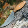 TOPS Knives LION-TBF Lioness Rockies Edition, Tumble Finish, Tan Canvas Micarta Handles