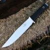 Fallkniven MB10 Modern Bowie, 10.0" Lam. CoS -Standard Edition