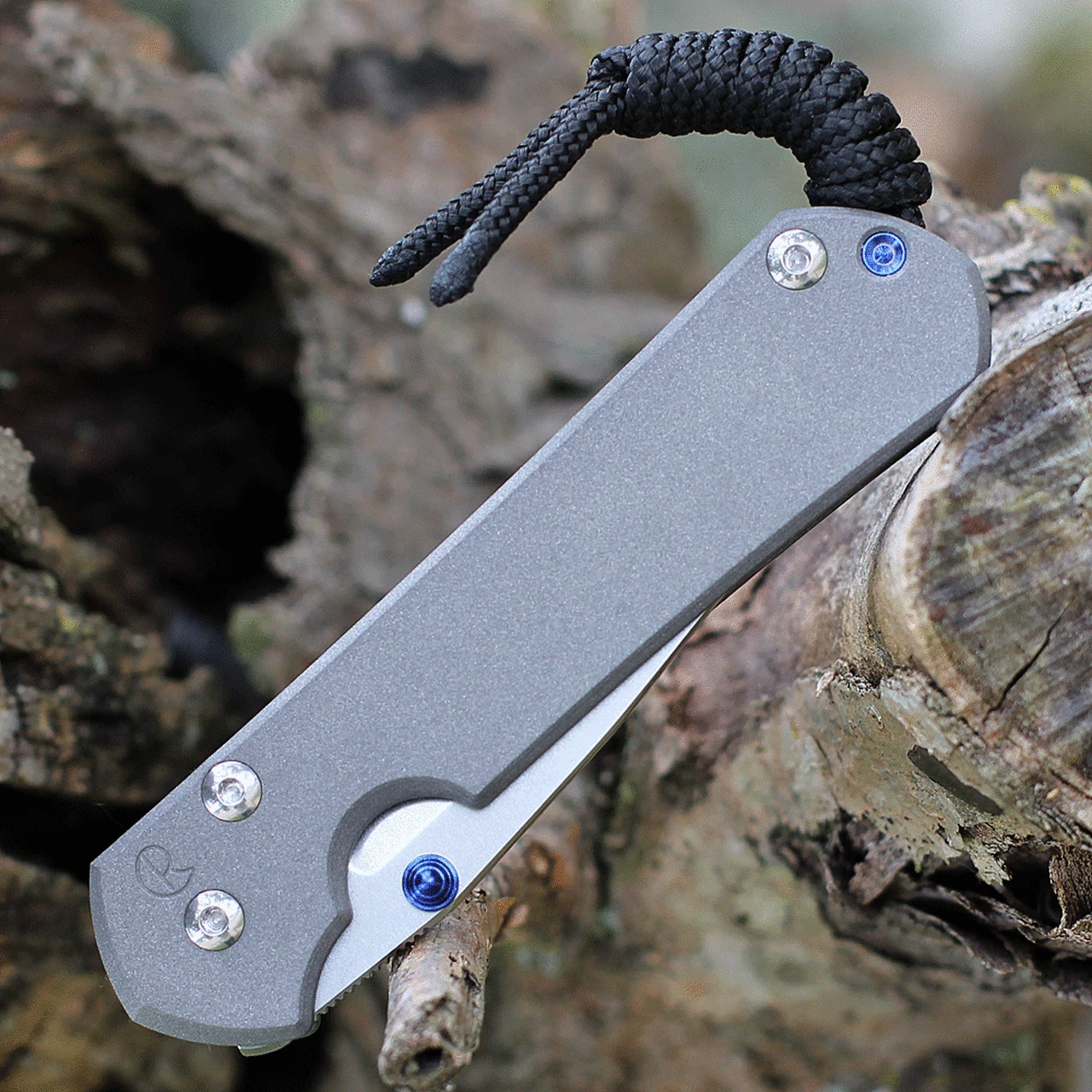 Chris Reeve Small Sebenza 31 Double Lug - Gray Ti (2.99" S45VN) 3 Chris Reeve Small Sebenza 31 Double Lug - Gray Ti (2.99" S45VN) - Image 3