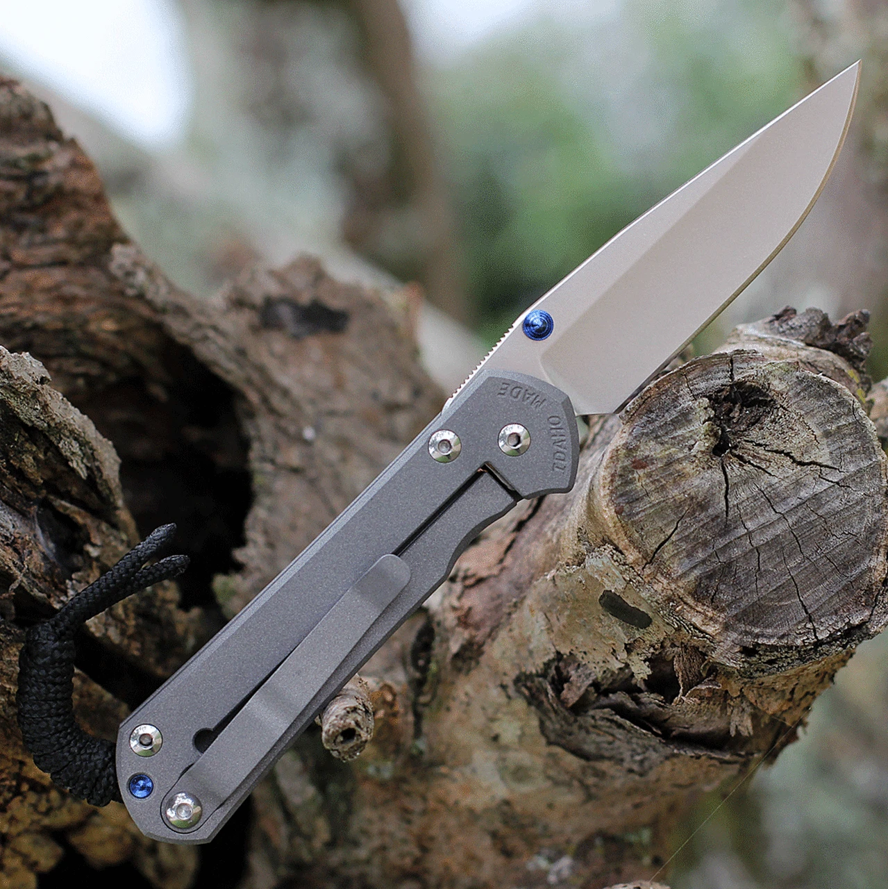 Chris Reeve Small Sebenza 31 Double Lug - Gray Ti (2.99" S45VN) 2 Chris Reeve Small Sebenza 31 Double Lug - Gray Ti (2.99" S45VN) - Image 2