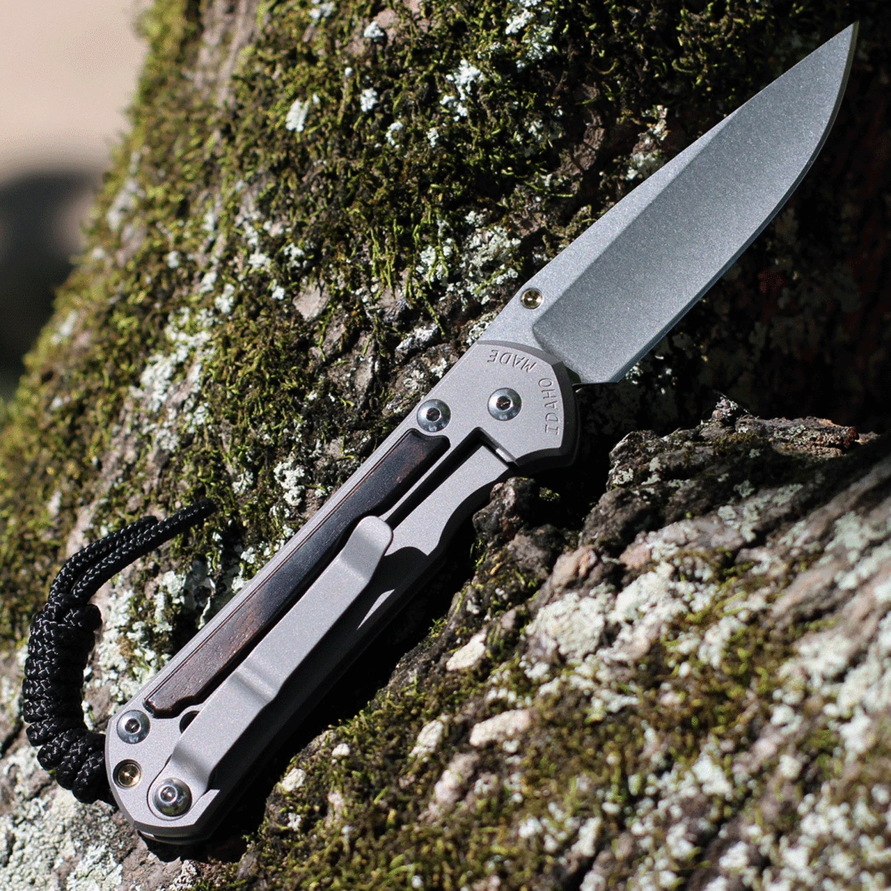 Chris Reeve Small Sebenza 31 - Matt-Blasted Ti w/ Macassar Ebony (3 " CPM S45VN SW ) S31-1116 2 Chris Reeve Small Sebenza 31 - Matt-Blasted Ti w/ Macassar Ebony (3 " CPM S45VN SW ) S31-1116 - Image 2