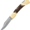 Schrade SCHLB8 Uncle Henry Papa Bear, Stainless Steel, Staglon Handle
