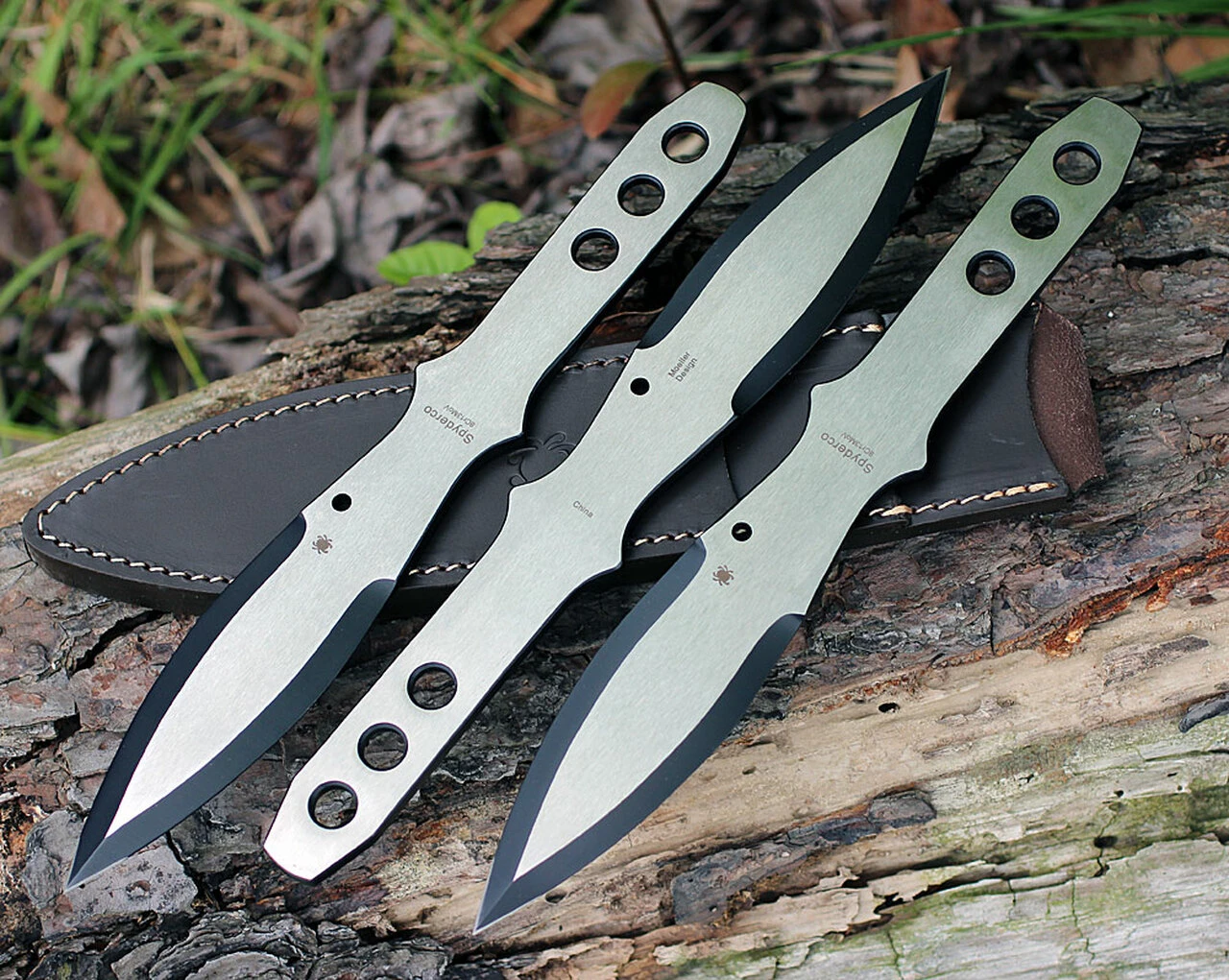 Spyderco Knives Spyderco TK01LG Large SpyderThrowers, 11.07 in., Set of 3 3 Spyderco Knives Spyderco TK01LG Large SpyderThrowers, 11.07 in., Set of 3 - Image 3