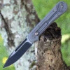 We Knife Co. We Knife Double Helix Folder 815E, 3.3" CPM S35VN Black Drop Point Plain Blade, Gray Titanium Handle